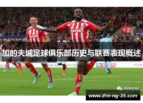 加的夫城足球俱乐部历史与联赛表现概述 加的夫城足球俱乐部历史与联赛表现概述