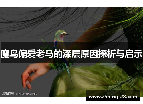 魔鸟偏爱老马的深层原因探析与启示